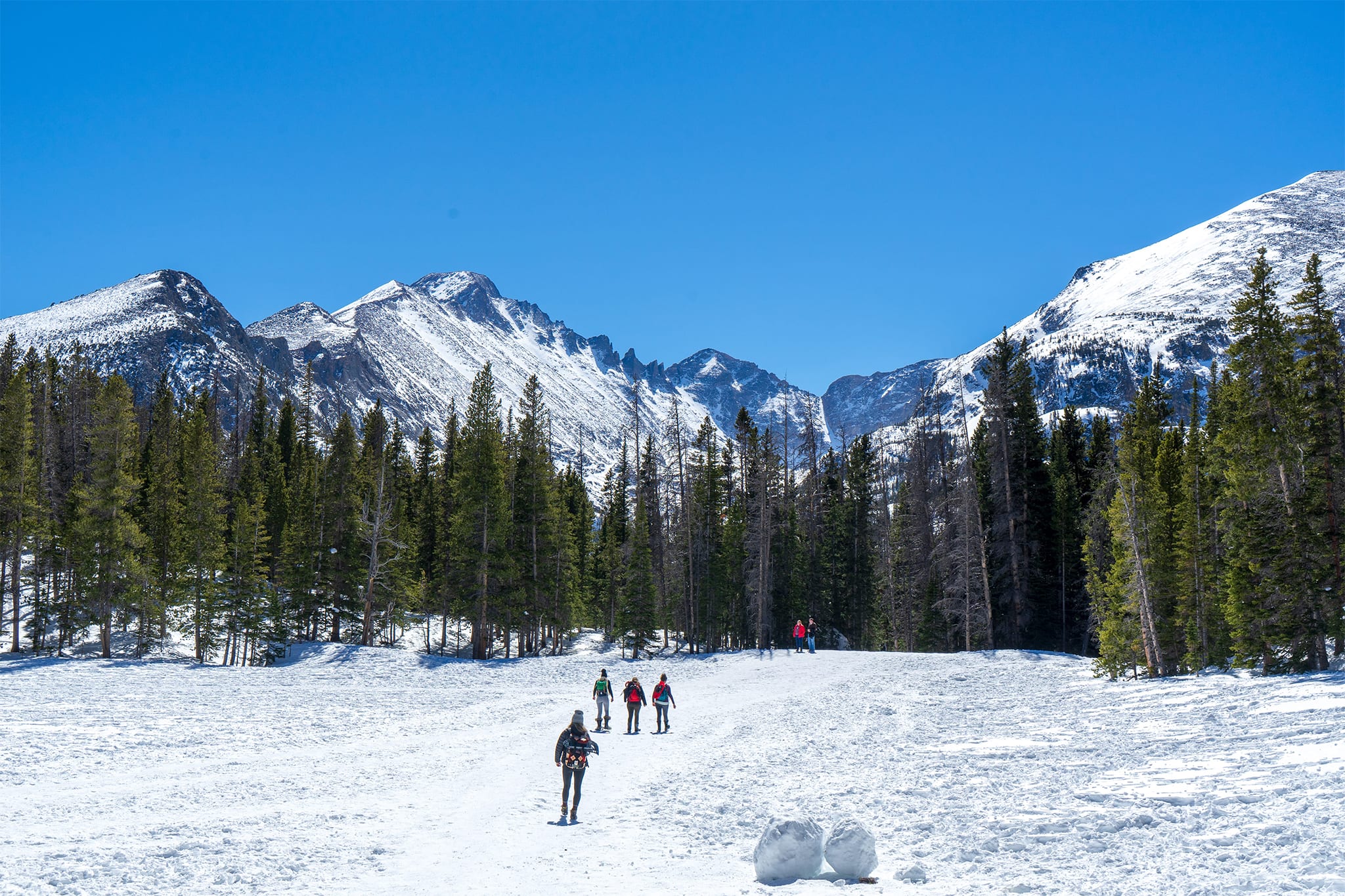 Snowshoe Adventure, Rocky Mountain National Park 1 Day United